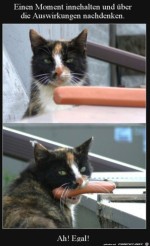 Einen-Moment-nachdenken.jpg auf www.funpot.net
