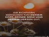 weiter