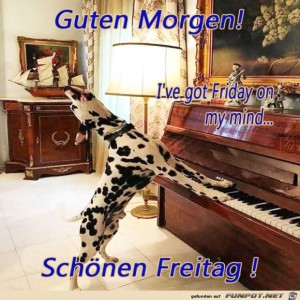 Begrüßungsbild