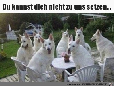 Alle-PlÃ¤tze-sind-belegt.jpg von Kollin