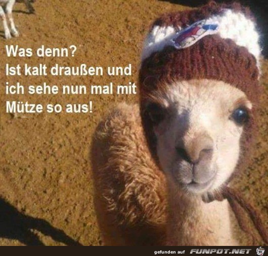 Kalt draußen Kalt draußen