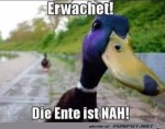 Die-Ente-ist-nah.jpg auf www.funpot.net