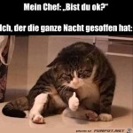 Ziemlich-kaputt.jpg auf www.funpot.net