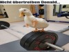 weiter
