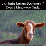 Keinen-Bock-mehr.jpg auf www.funpot.net