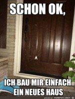 Spinne-an-der-Haustre.jpg auf www.funpot.net