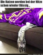Katze-ist-flssig.jpg auf www.funpot.net