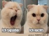 weiter