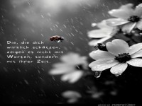 Marienk�fer im Blumenregen: Zeit statt Worte