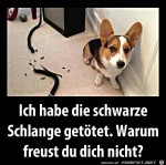 Warum-freust-du-dich-nicht?.jpg auf www.funpot.net