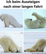 Nach-einer-langen-Autofahrt.jpg auf www.funpot.net