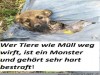 weiter