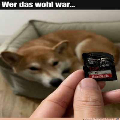 Den-Schuldigen-gefunden.jpg von Sweetheart