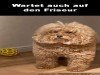 weiter