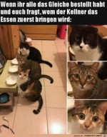 Angespannte-Blicke.jpg auf www.funpot.net