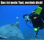 Geh-weg.jpg auf www.funpot.net