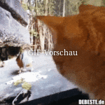 wo-ist-der-Vogel?.gif auf www.funpot.net