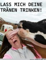 Gesicht-gewaschen.jpg auf www.funpot.net