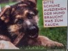 weiter