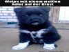 weiter
