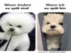 weiter