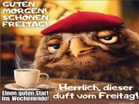 Guten Morgen am Freitag