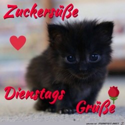 Dienstag.jpg auf www.funpot.net