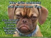 Wer fr�h aufsteht