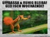 weiter