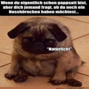 fun-Bild: Klar will ich das