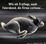 Freitags-nach-der-Arbeit.jpg auf www.funpot.net