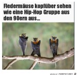 Lustige-Fledermuse.jpg auf www.funpot.net