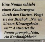Ein-Kardinalfehler.jpg auf www.funpot.net