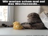 weiter