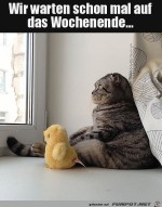 Warten-aufs-Wochenende.jpg auf www.funpot.net