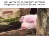 weiter