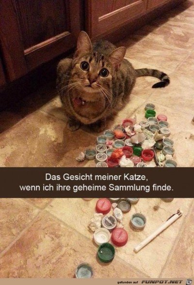 Wo-hast-du-das-her.jpg von Petzi