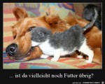 Ist-da-noch-Futter-brig?.jpg auf www.funpot.net