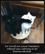 Der-Anwalt-bei-der-Anhrung.jpg auf www.funpot.net
