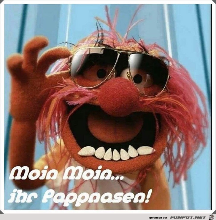 Moin, Moin Moin, Moin