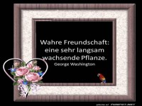 Wahre Freundschaft