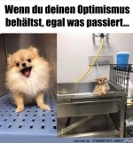 Immer-positiv-bleiben.jpg auf www.funpot.net
