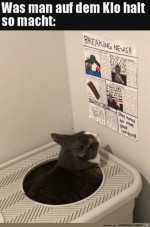 Lesen-auf-der-Toilette.jpg auf www.funpot.net