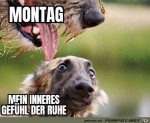 Der-Montag.jpg auf www.funpot.net