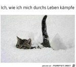 Durchs-Leben-kmpfen.jpg auf www.funpot.net