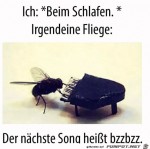 Irgendeine-Fliege.jpg auf www.funpot.net