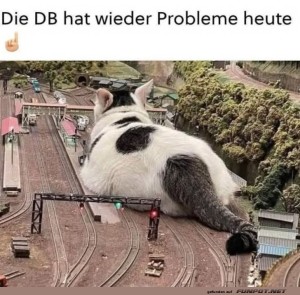 fun-Bild: Katzastrophe im Bahnparadies!