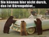 weiter