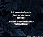 Die-Sonne-scheint.jpg auf www.funpot.net