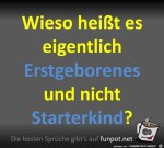 Starterkind.jpg auf www.funpot.net